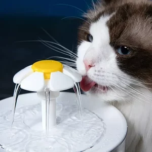 Pet Bowls Feeders