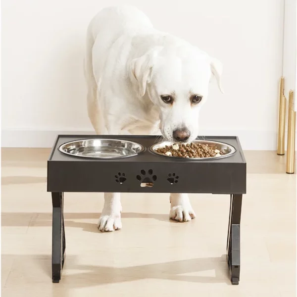 Adjustable double elevated dog bowls, close-up of stainless steel bowls, mealtime preparation