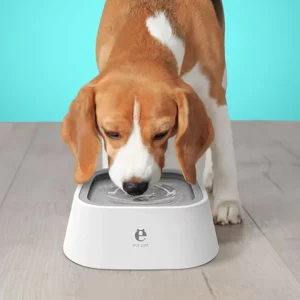Pet Bowls