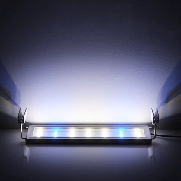 Aquarium illuminated by the LED light, showcasing plant growth