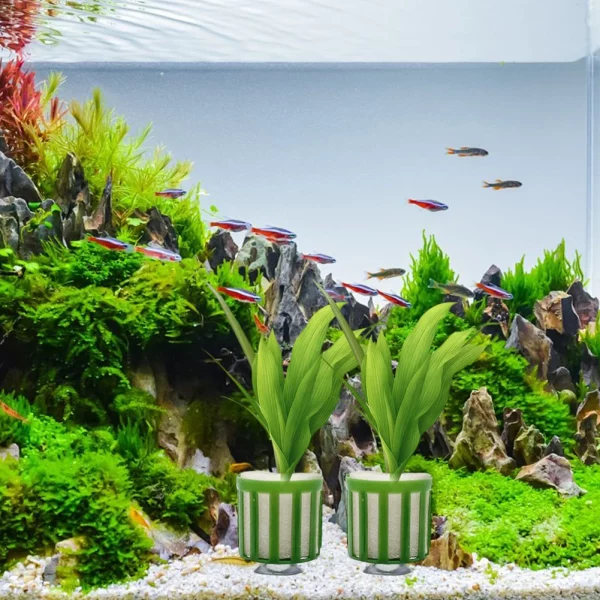 Aquatic plant pot holding a plant securely with suction cup