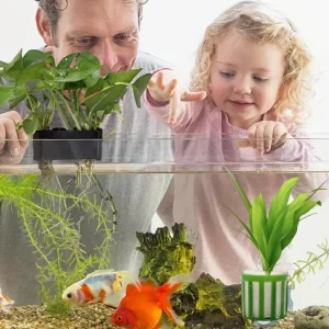 Aquarium Decor