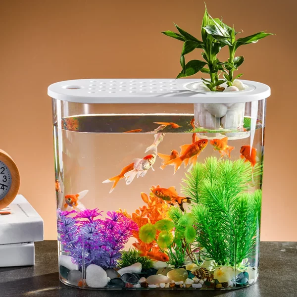 Close-up of the clear table fish bowl's transparent material
