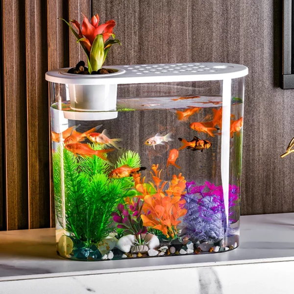 Aquaponic planter setup in the clear desktop aquarium