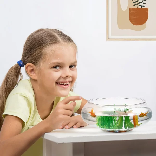 Small desktop aquarium bowl, side profile showing depth