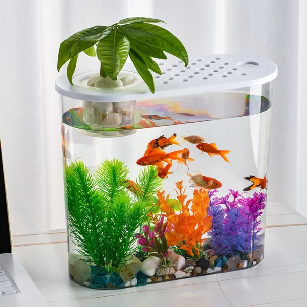 Hydroponics aquarium on office desk
