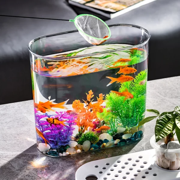 Soil cultivation planter for home decor