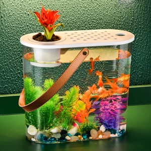 Aquariums