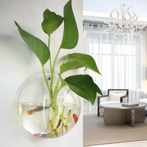 The 23cm wall mount fish tank with a plant inside