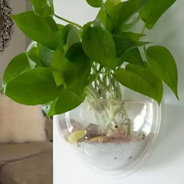Aquarium bowl filled with water and a small plant, mounted on a textured wall