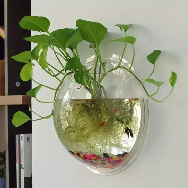 Close-up of the wall hanging aquarium bowl, highlighting its bubble shape and transparent material