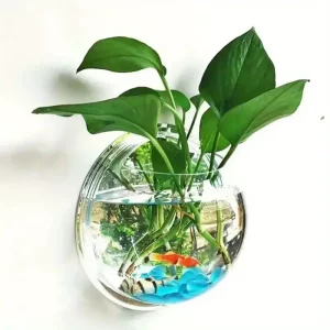 Wall hanging aquarium bowl mounted on a white wall, showcasing its clear acrylic design