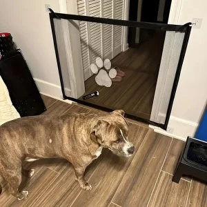 Pet safety net set up in a doorway