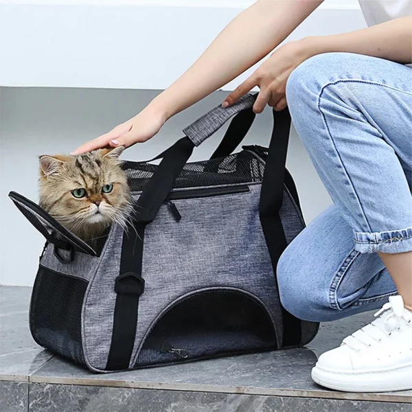 Side view of a pet carrier bag showcasing breathable mesh panels