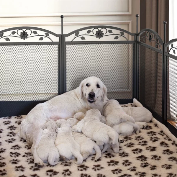 A dog resting comfortably inside the spacious indoor dog playpen.