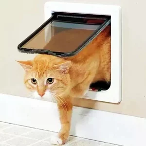 Pet Doors Gates