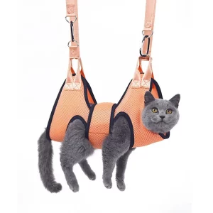 Cat in orange grooming hammock, front view, paws through holes