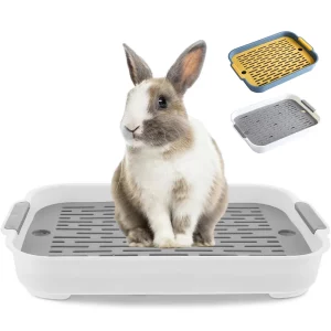 Rabbit litter box in blue, showing corner design
